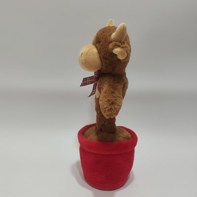 歌って踊るハイランドカウ